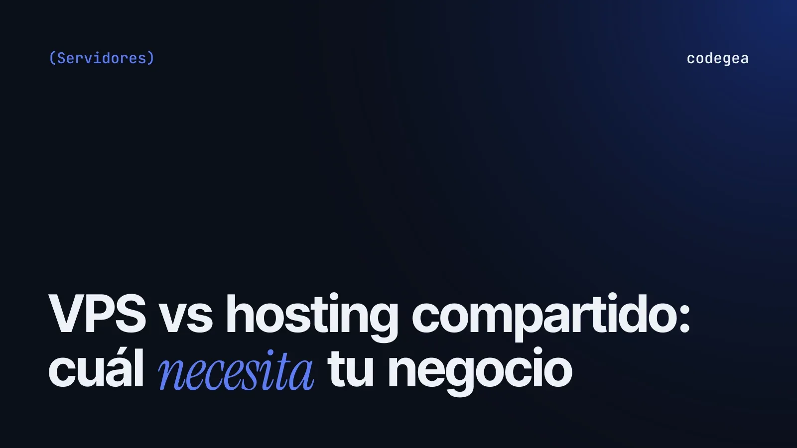 VPS vs shared hosting: which one your business needs